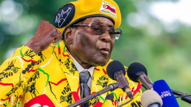 Simbabwe: Vize-Präsident wieder im Land