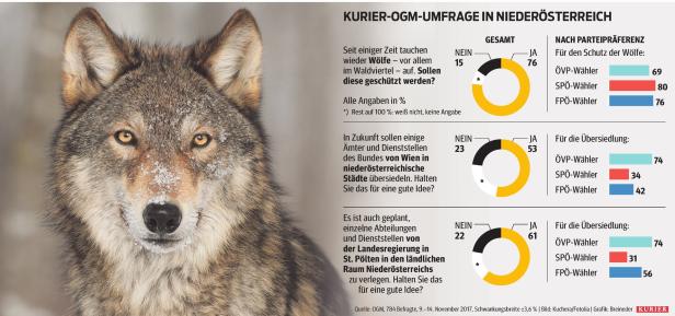 Niederösterreicher haben keine Angst vor bösem Wolf