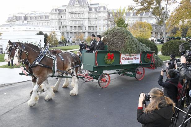Ein Christbaum für Melania und Barron Trump