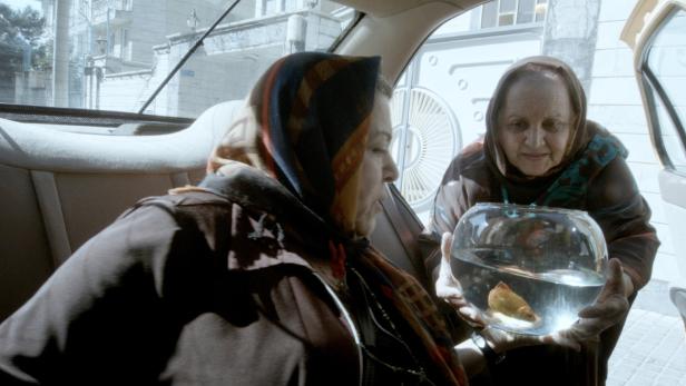 Mit dem Aquarium im Taxi