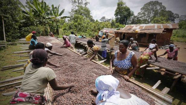 Bittere Schokolade: Kinderarbeit in Westafrika