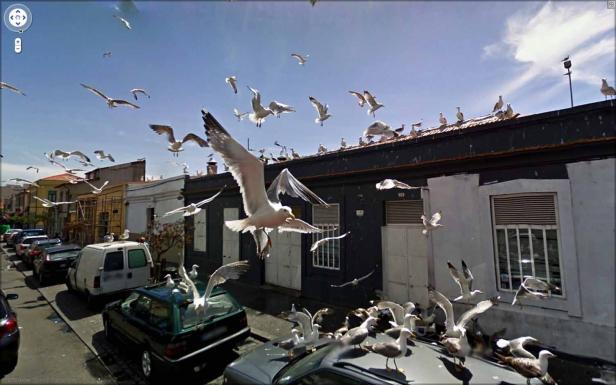Kuriose und magische Momente auf Google Street View