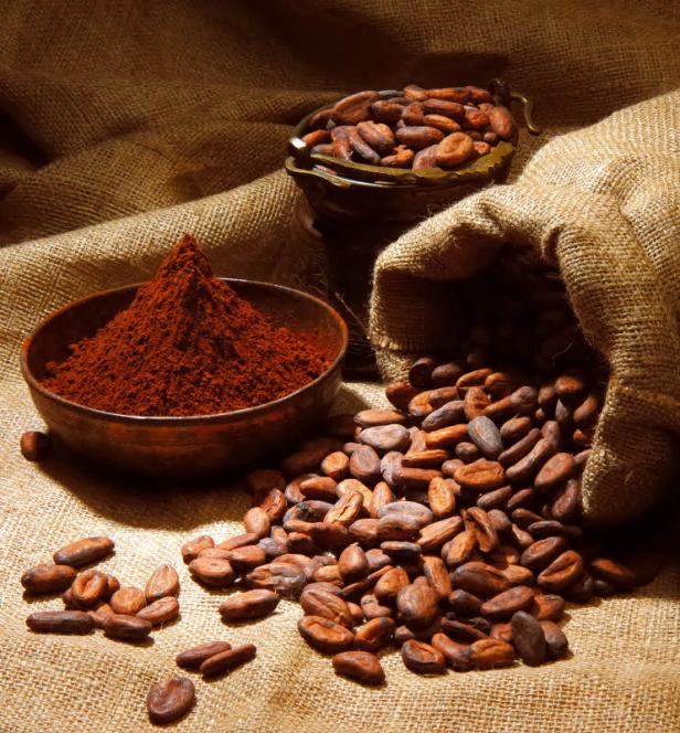 Kakaobauern essen zum 1. Mal Schokolade