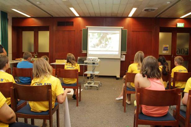 Kinder sitzen in einem Raum und schauen eine Präsentation an.
