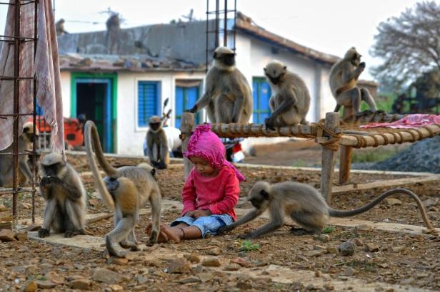 Indien: Bub schließt enge Freundschaft mit Affen