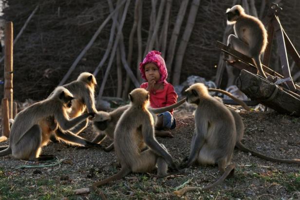 Bub sorgt mit Affenfreundschaft für Aufsehen
