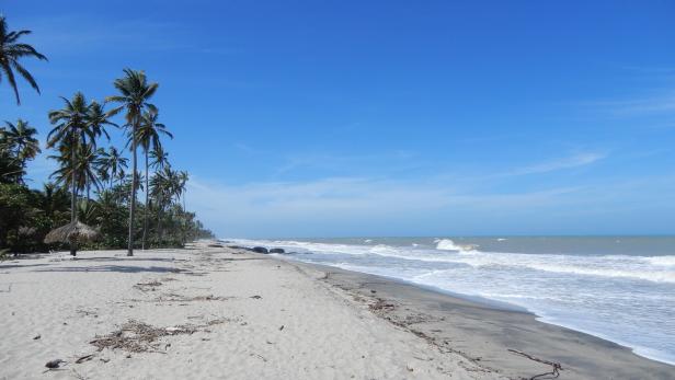 Auf Entdeckungsreise zu einem Surf-Pionier in Kolumbien