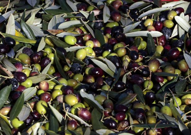 Griechisches Olivenöl für den guten Zweck