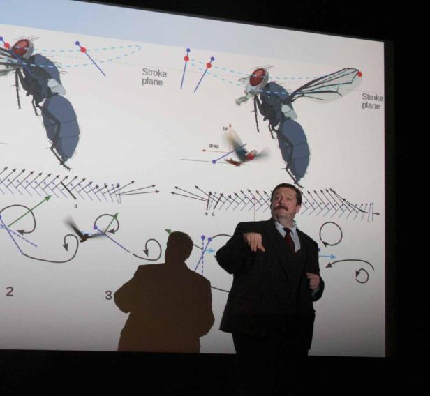Ein Mann mit Schnurrbart präsentiert eine Grafik über den Flug von Insekten.