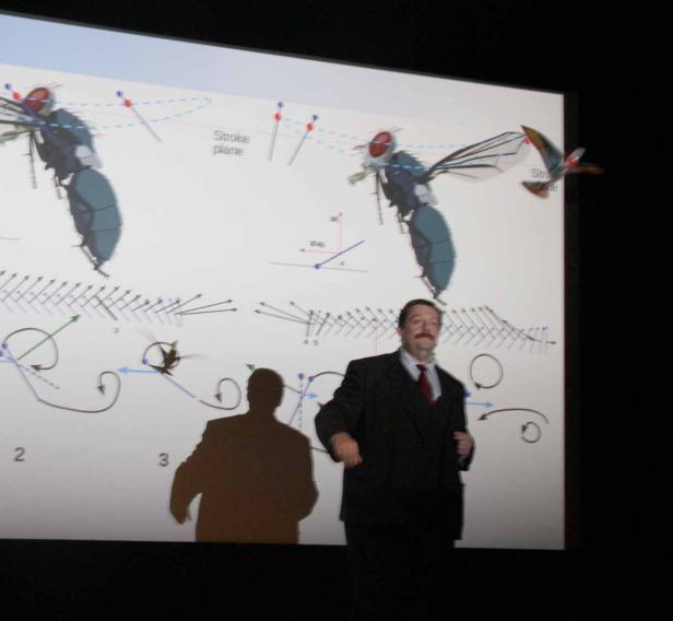 Ein Mann präsentiert eine Grafik über den Flug von Insekten.