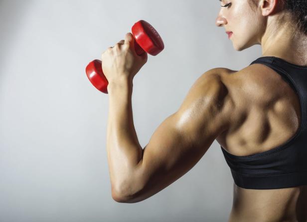 Stärkt Vibrationstraining die Muskeln?