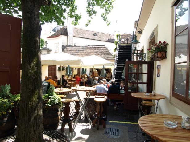 Die 11 kühlsten Biergärten in Wien