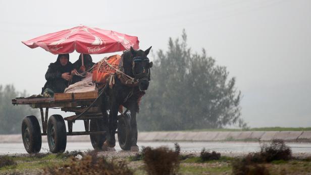 A woman rides a horse cart under the rain on a mai