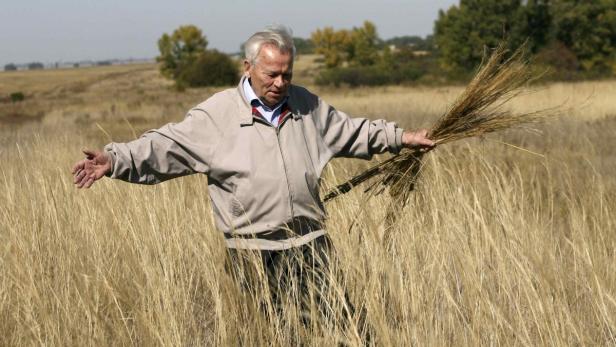 Ein Mann steht auf einem Feld und hält einen Bund Gras in der Hand.