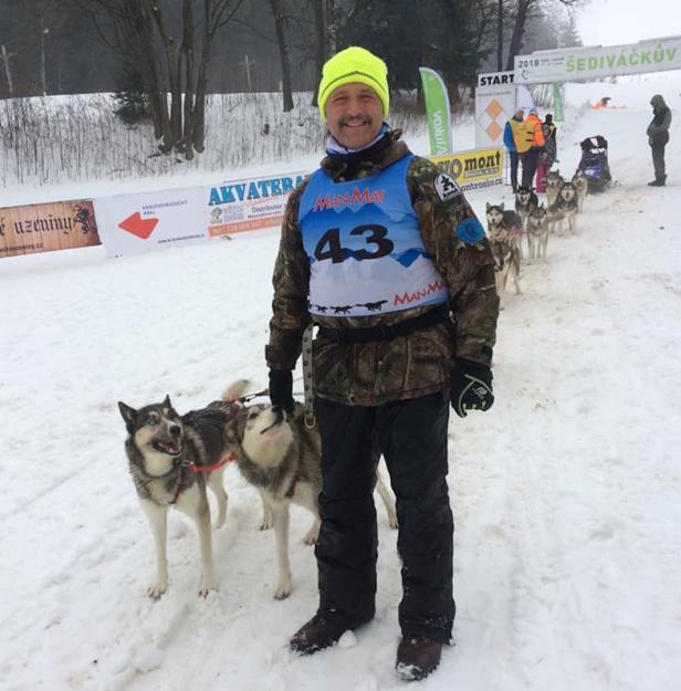 Burgenländer gehört zu besten Schlittenhundesportlern