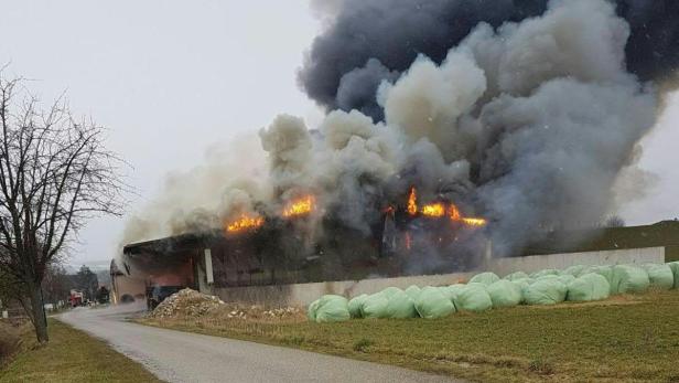 Brand mit drei Toten in NÖ: Obduktion angeordnet