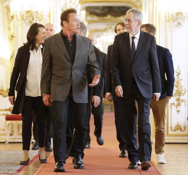 Schwarzenegger traf Van der Bellen in der Hofburg