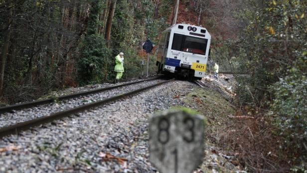 Ein RENFE-Zug steht auf einer Bahnstrecke in einer bewaldeten Gegend.