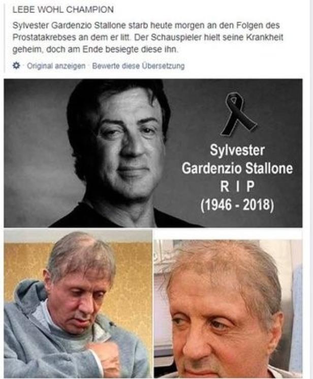 Makabere Falschmeldung über Sylvester Stallone