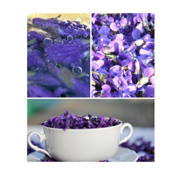 Foodblog der Woche: Küchenschabe | kurier.at