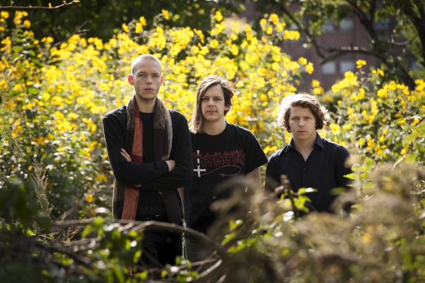 Drei junge Männer stehen vor einem Busch mit gelben Blüten.