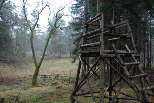 Bauern wollen Gründe zurück