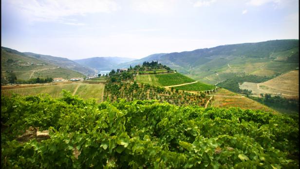 Douro: Wo sie den Wein mit Füßen treten