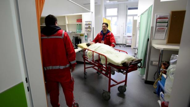 Seit Anfang Februar hat sich die Zahl der Grippe-Neuerkrankungen in Wien fast verdoppelt Grippewelle: Höhepunkt steht bevor