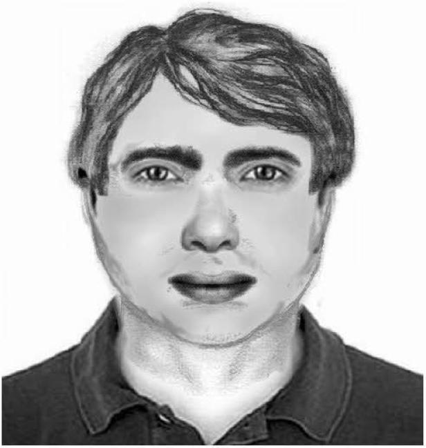 Eine gezeichnete Darstellung eines Mannes mit dunklen Haaren und einem Hemd.