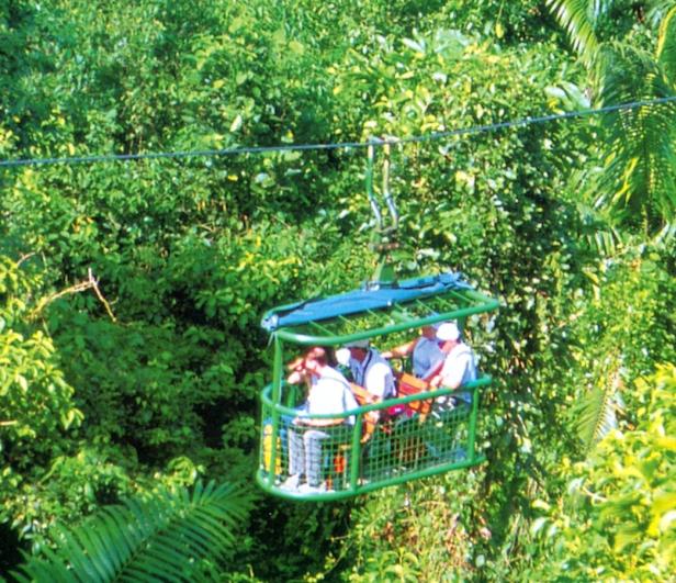 Fahrt mit der Rain Forest Aerial Tram durchs Obergeschoß des Regenwaldes. Extratour: Kurs Dschungel