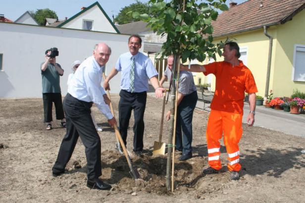 Mehrere Personen pflanzen einen Baum im Freien.