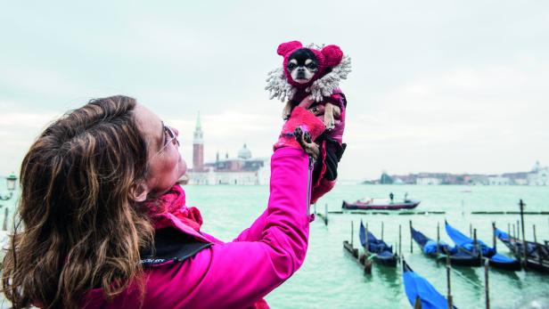 Fotografie: Hundeleben in Venedig