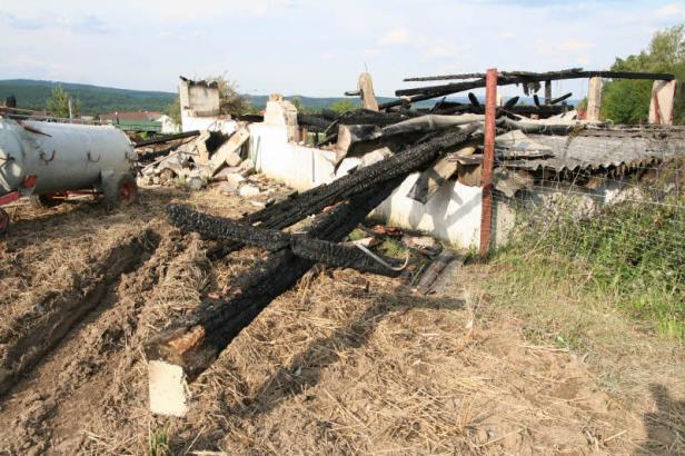 Feuer vernichtete Schafmilchbetrieb