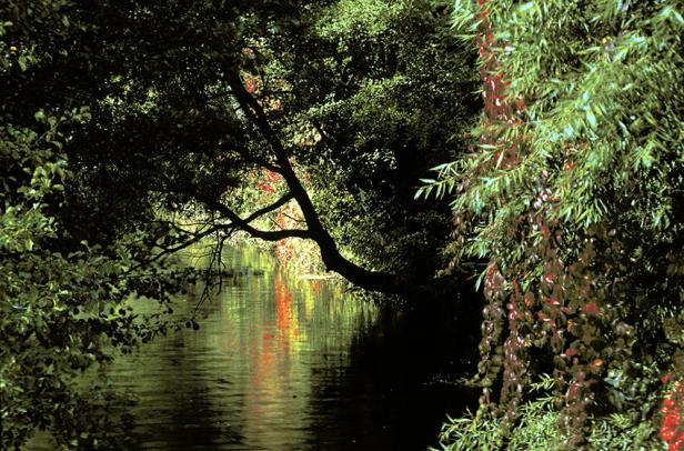 Kamptal: Alles im Fluss