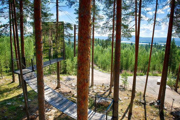 Ein Baumhaus mit Spiegelglasfassade und einem Holzsteg in einem dichten Wald.