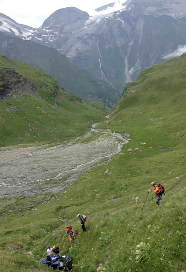 Eine Gruppe Wanderer in einer grünen Berglandschaft mit schneebedeckten Gipfeln im Hintergrund.