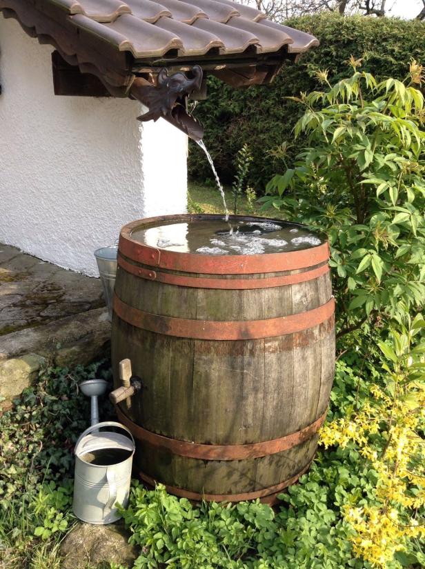 Wasser richtig nützen