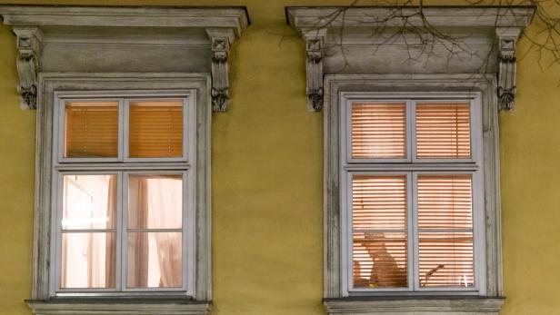 Lebenslang für Gambier nach Mord an Au-pair in Wien