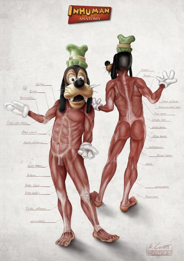 Mäusewelten: Die Disney-Anatomie