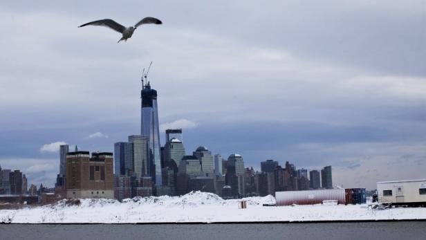 Eine Möwe fliegt vor der Skyline von New York im Winter.