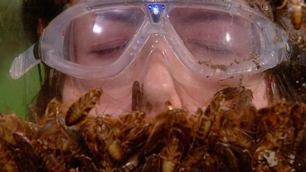 Eine Frau trägt eine Schutzbrille und ist mit Kakerlaken bedeckt.