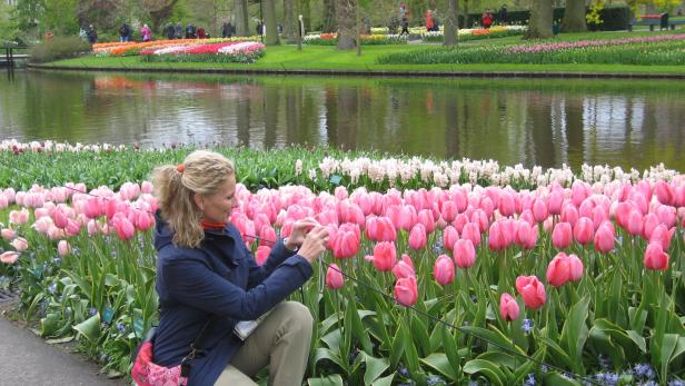 Tulpen aus Amsterdam: Ihre Saison ist jetzt!