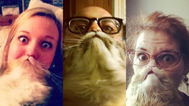 Drei Personen halten Katzen so, dass es aussieht, als hätten sie einen Bart.