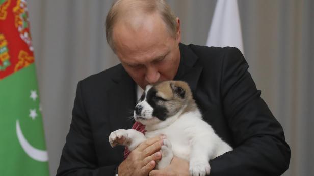 Zwischen Kriegsschiffen und Koalas: Putins Präsidentschaft in Bildern