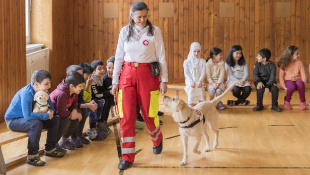 Schulprojekt zeigt Kindern Umgang mit Hunden