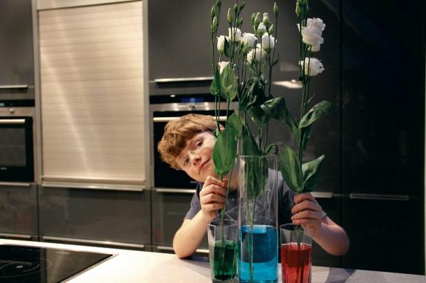 Diese Experimente mit Wasser machen Ihrem Kind Spaß