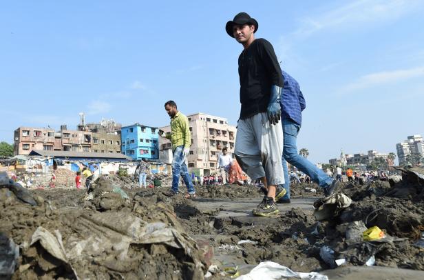 Oliv-Bastardschildkröten kehren an Mumbais Strand zurück