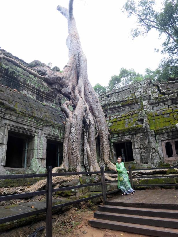 Angkor: So schön wie Disneys Dschungelbuch