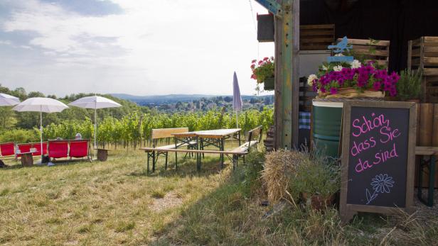 Ein Achterl Rosé mit Blick über die ganze Stadt