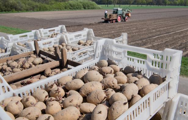 Streit um EU-Subventionen: "Green Deal" ohne Landwirtschaft?